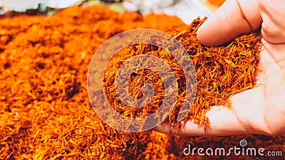 Hand with dried Safflower flower herb Stock Photo