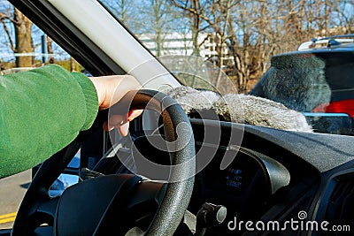 Hand driver on wheel of the car in the car Stock Photo