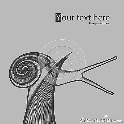 Hand draw snail on blade of grass Vector Illustration