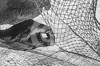 Hand of fisherman reparing the net Stock Photo