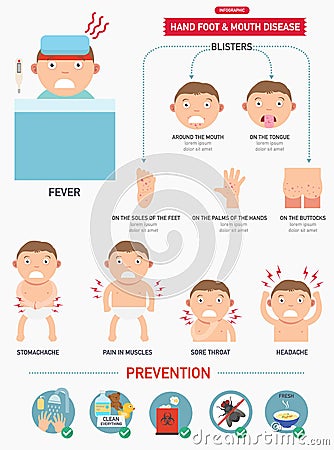 Hand,foot and mouth disease infographic Vector Illustration