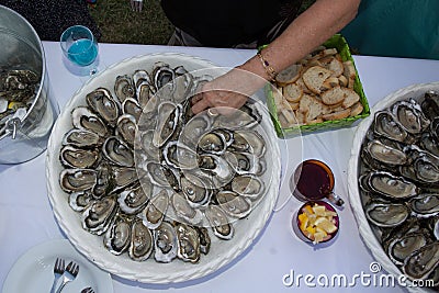 Hand on Fresh Shucked Oysters with Served as Appetizer Stock Photo