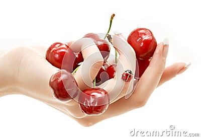 Hand full of red cherries Stock Photo