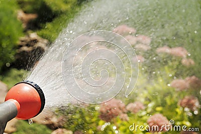 Hand garden hose with water sprayer Stock Photo