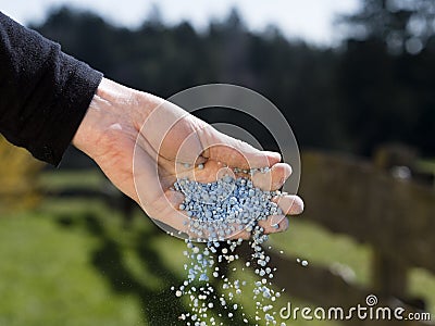 Hand of a gardener giving fertilizer to garden plants Stock Photo