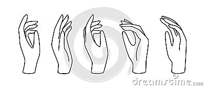 Hand gesture linear vector illustration. Thin female hand as a symbol of blessing, mercy, farewell, prayer and gratitude Vector Illustration