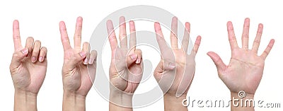 1 2 3 4 5 hand Stock Photo