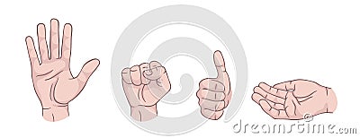 Hand gestures set isolated. Palm, fist, thumb up, cupped hand. Modern beautiful style. Realistic. Flat style vector illustration. Vector Illustration