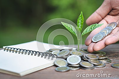 Hand giving a coin to a tree growing from pile of coins.Plant Growing In Savings Coins Money. Financial accounting, Investment Stock Photo