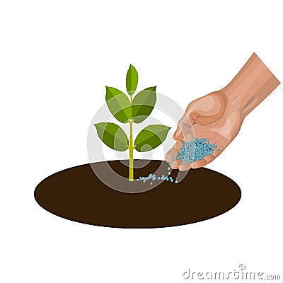 Hand giving fertilizer to young plant vector Vector Illustration