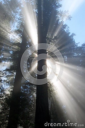 Hand of God Reaching Down Stock Photo