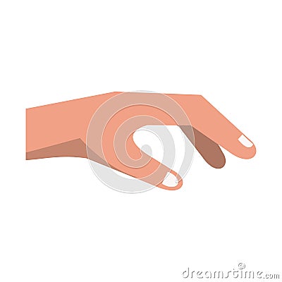 Hand grabbing something cartoon isolated Vector Illustration