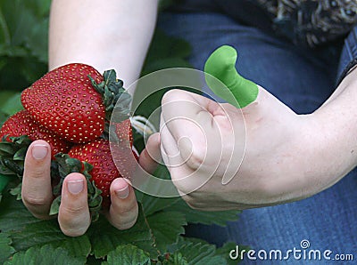 Hand With Green Thumb Stock Photo