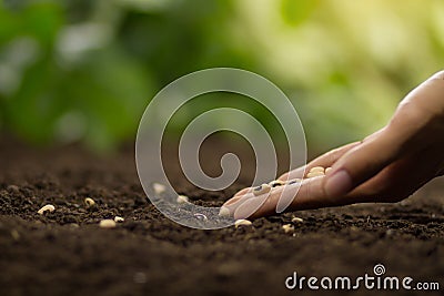 Hand sowing seed on soil Stock Photo