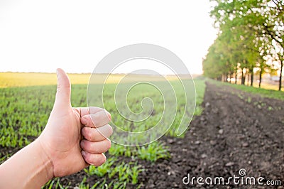 A man holds a thumbs up against the background of a green field. Stock Photo