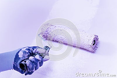 The hand of a handyman in a dirty special rubber work glove holds a roller, with which he paints walls in room in purple Stock Photo