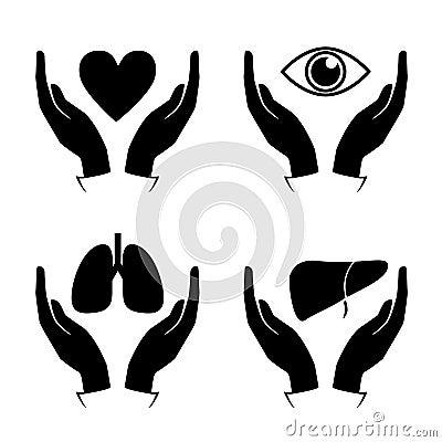 Hand hold heart, eye, lung, liver icons Vector Illustration