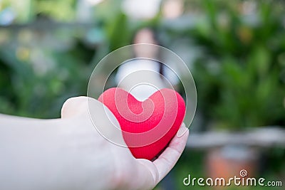 Hand are hold a red heart in the evening to replace the love in the Valentine.Give heart or love and concern to each other.Have Stock Photo