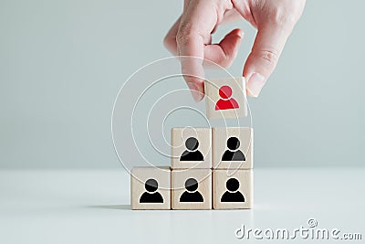 Hand hold red people icon on block. Human resources management and recruitment business hiring concept. Stock Photo