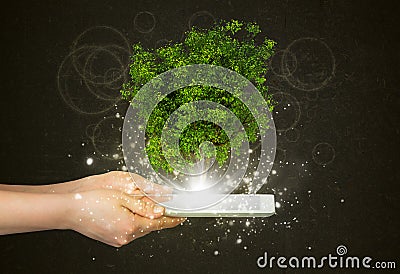 Hand hold tablet pc with magical green tree Stock Photo