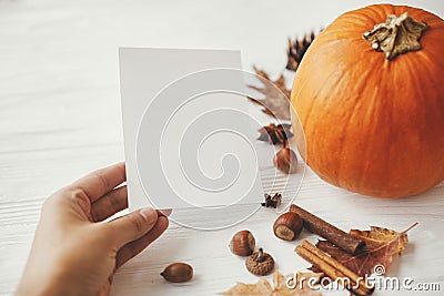 Hand holding blank card on background of pumpkin, autumn leaves, anise, acorns on white wood. Autumn greeting card mock up. Stock Photo