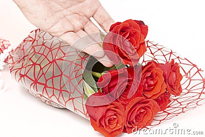 Hand holding a bouquet of roses on a white background Stock Photo