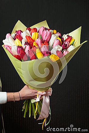 Buquet of various tulips on the dark background Stock Photo
