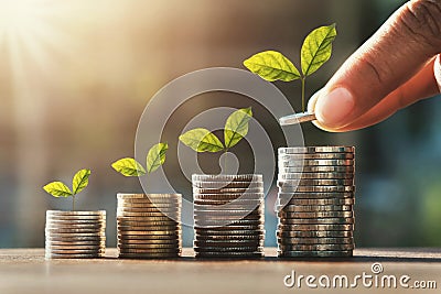 hand holding coins to stack and growth plant step. concept saving money finance Stock Photo