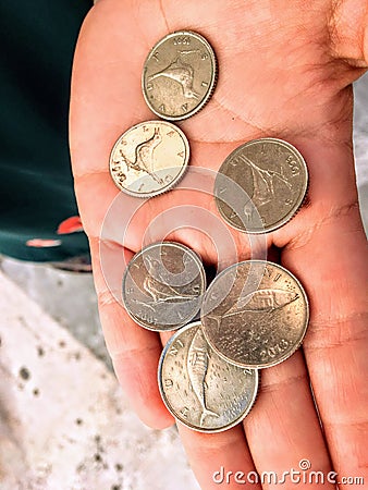 A hand holding croatian kuna coins. The kuna is the currency of Croatia, in use since 1994. It is subdivided into 100 lipa. Stock Photo