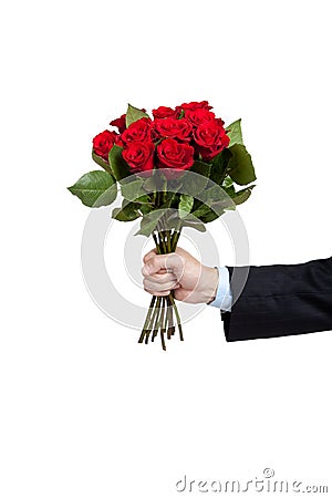 A hand holding a dozen red roses on white Stock Photo