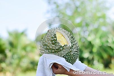 Hand holding fresh durian on a nature background, Tropical seasonal fruit, King of fruit from Thailand Stock Photo