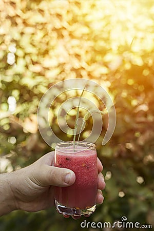 Hand Holding Glass Fresh Watermelon Juice Stock Photo