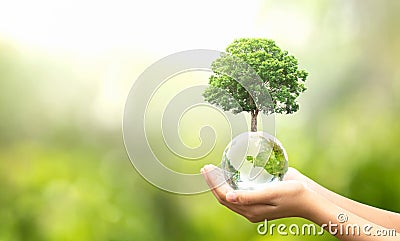 hand holding glass globe ball with tree growing and green nature blur background. eco concept Stock Photo