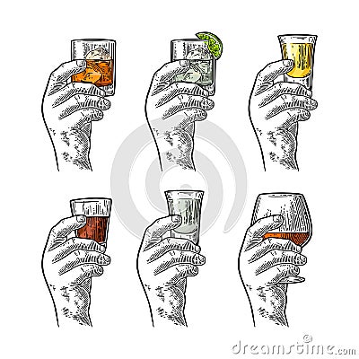 Hand holding glass with tequila, vodka, rum, cognac, whiskey, gin. Vector Illustration