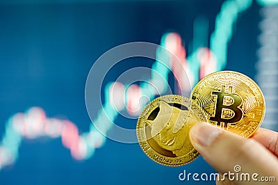 Hand holding gold Bitcoin and Dogecoin Editorial Stock Photo
