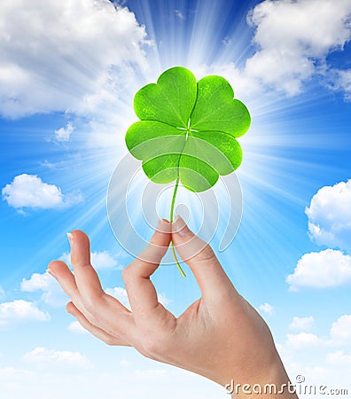 Hand holding a green four leaf clover Stock Photo