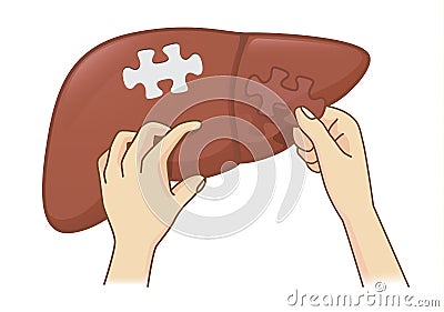 Hand holding last piece of jigsaw puzzle for liver treatment. Vector Illustration