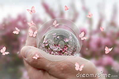 Hand holding a lens ball reflecting pink flowers Stock Photo