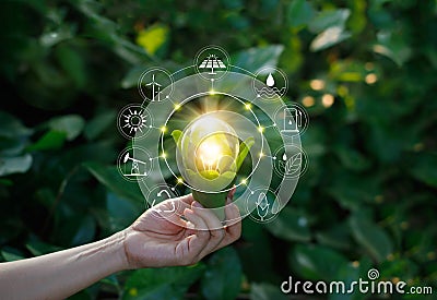 Hand holding light bulb on green nature with icons Stock Photo
