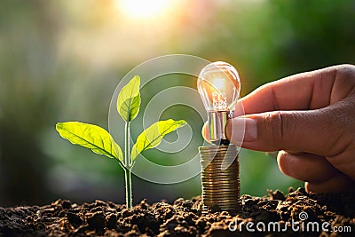 hand holding lightbulb money stack and young plant in nature. idea saving energy and accounting finance concept Stock Photo