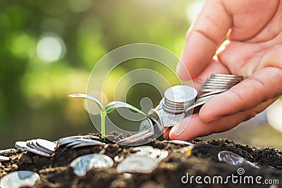 hand holding money puting on soil and young growing Stock Photo