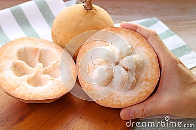 Hand Holding an Opened Fresh Ripe Santol Fruit or Wild Mangosteen Stock Photo