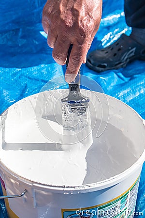 Hand holding a paint brush being dipped into a large tub of white paint ready for use in decorating Editorial Stock Photo