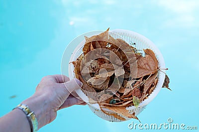 Hand holding a pool skimmer basket Stock Photo