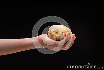 Hand holding potato isolated on black background, studio shot Stock Photo