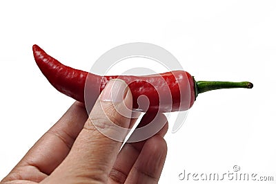 Hand holding red chili white background Stock Photo