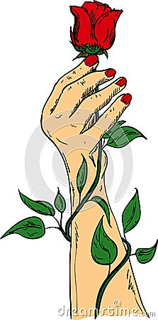 Hand holding a red rose Vector Illustration