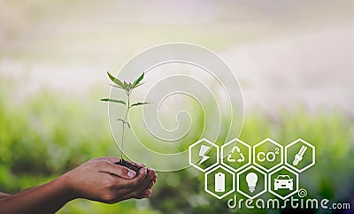 Hand holding seedlings with environment icons over the Network connection on nature background, Technology ecology concept Stock Photo