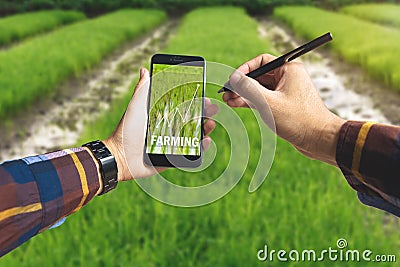 Hand holding smart phone and electronic pen with farming text an Stock Photo