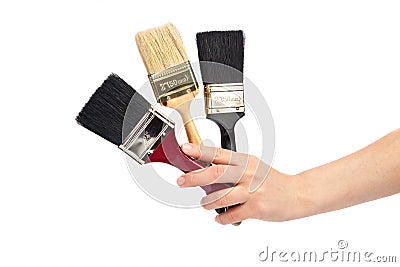 Hand Holding a three paint brush Stock Photo
